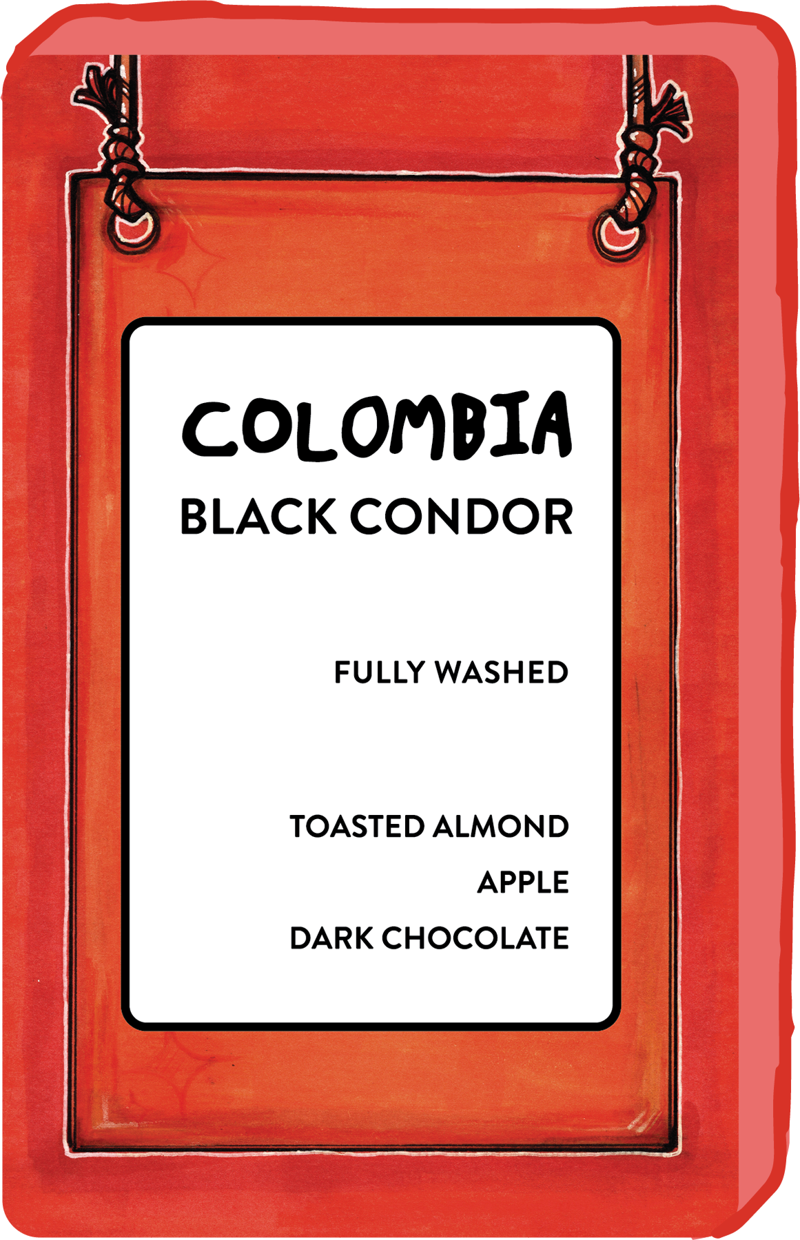 COLOMBIA BLACK CONDOR