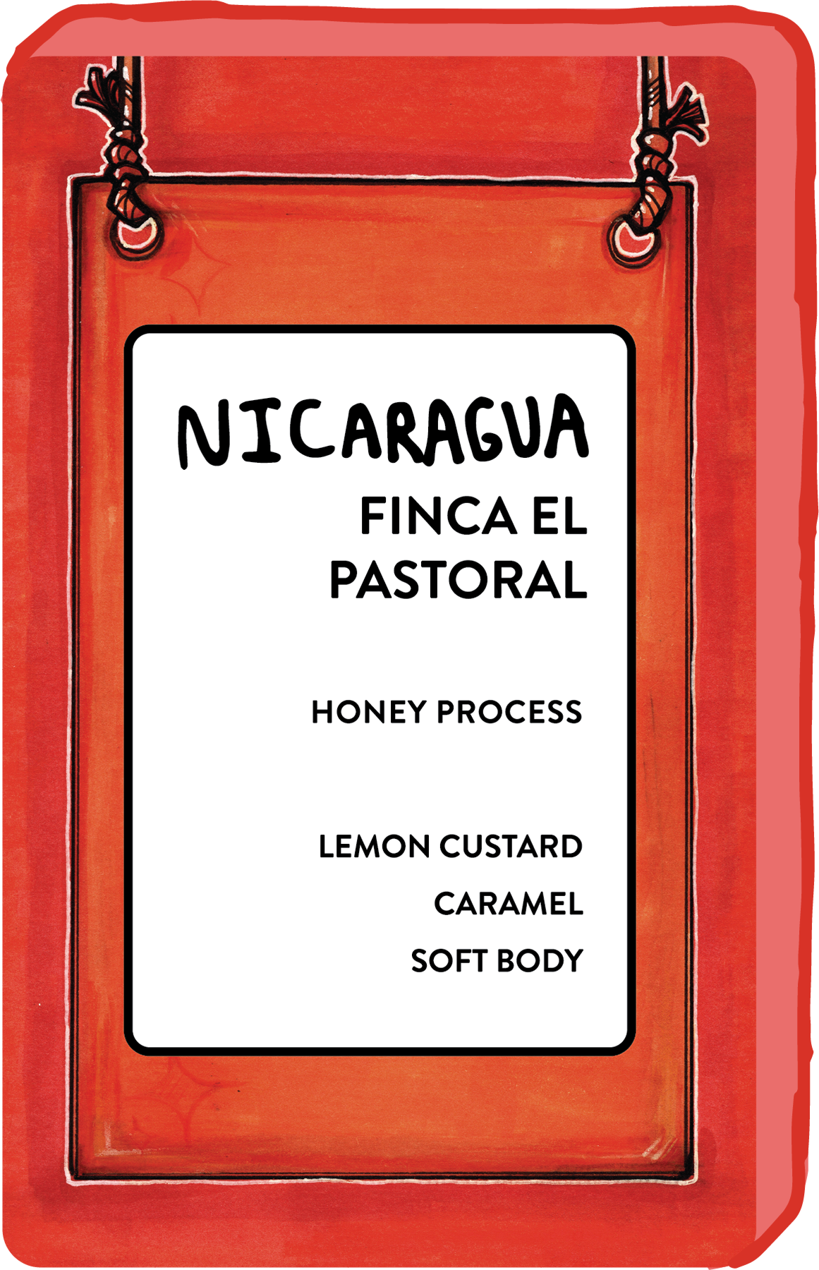 NICARAGUA FINCA EL PASTORAL